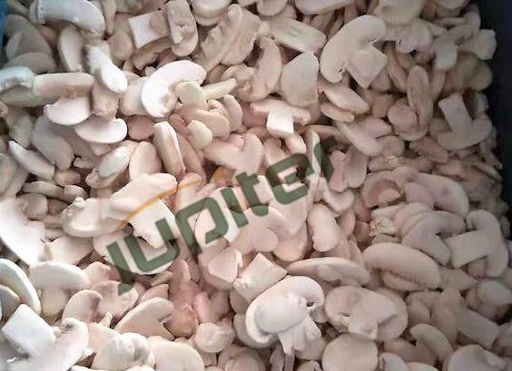 Frozen Champignon Mushroom Sliced, Grade A